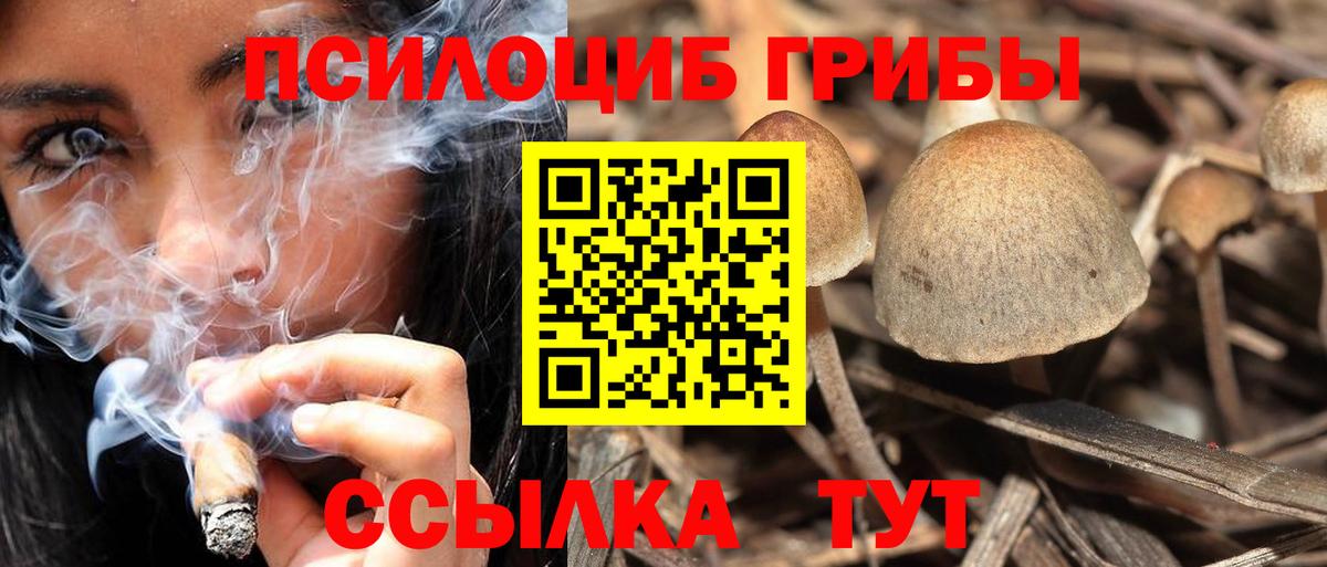 Галлюциногенные грибы GOLDEN TEACHER  Вход с VPN  Псилоцибиновые грибы Psilocybine cubensis  Железноводск 